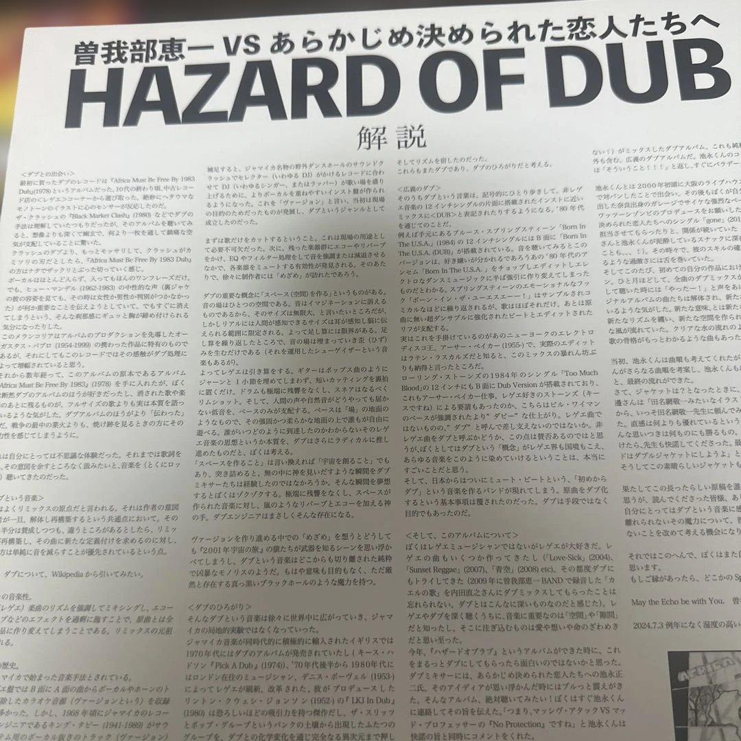 曽我部恵一HAZARD OF DUB レコード