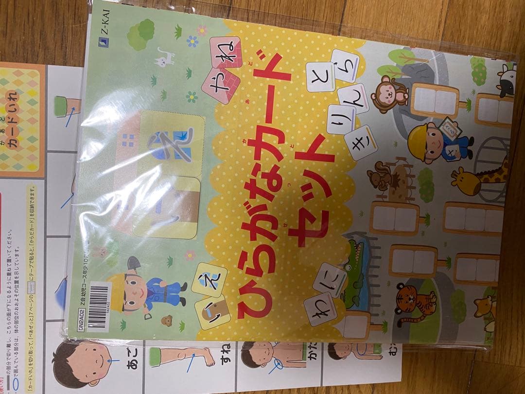 z会　年少　2023〜2024 画像