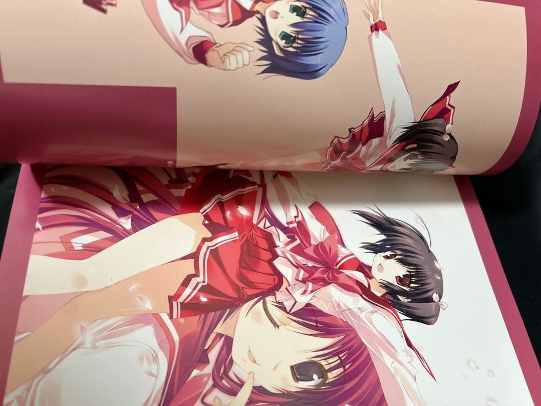 Leaf Illustrations みつみ　甘露樹　カワタ　3冊セット