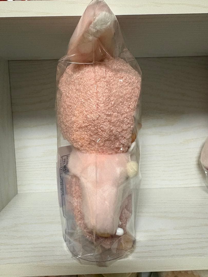 チムタン　くーにゃん