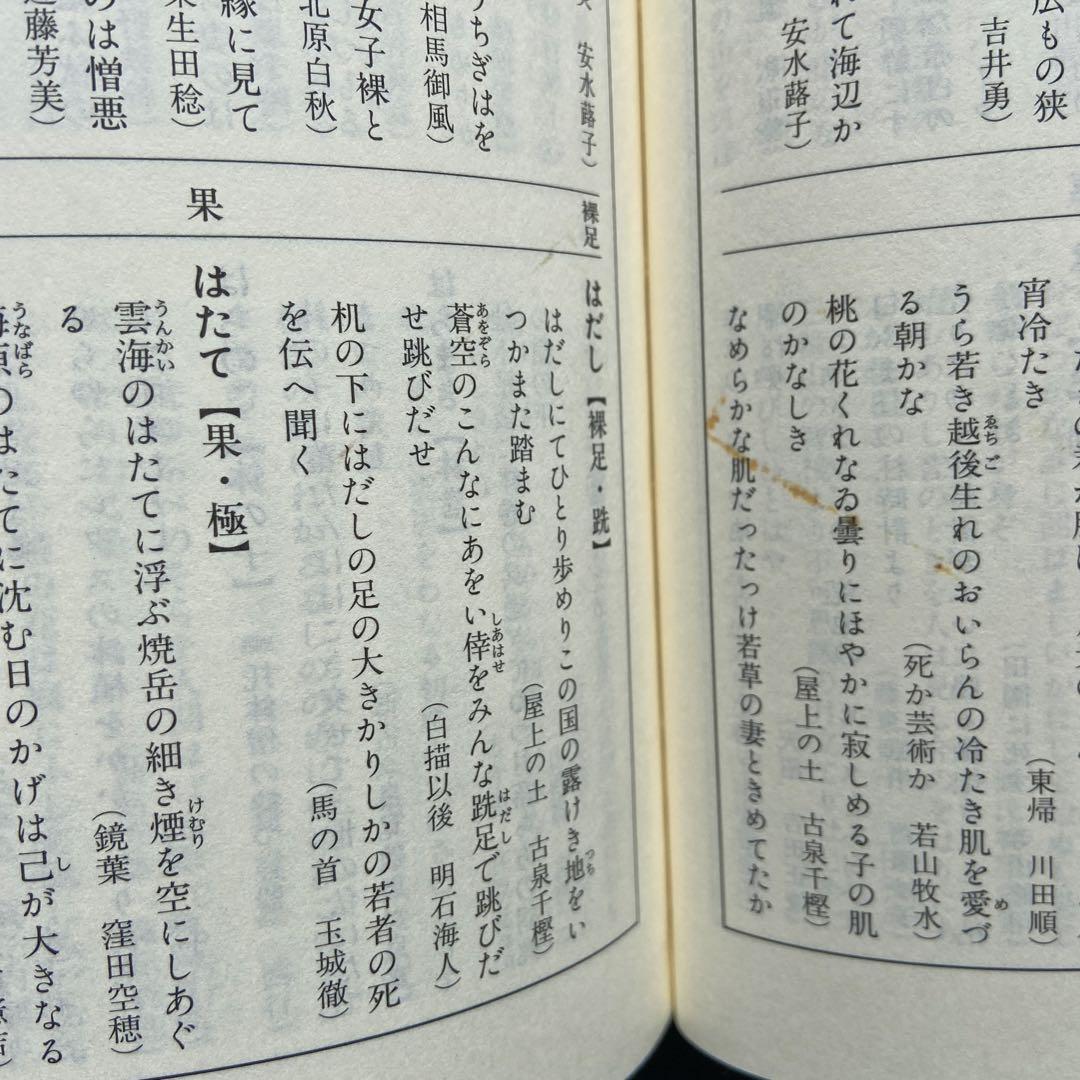 日本歌語事典 佐佐木幸綱 杉山康彦 林巨樹 編