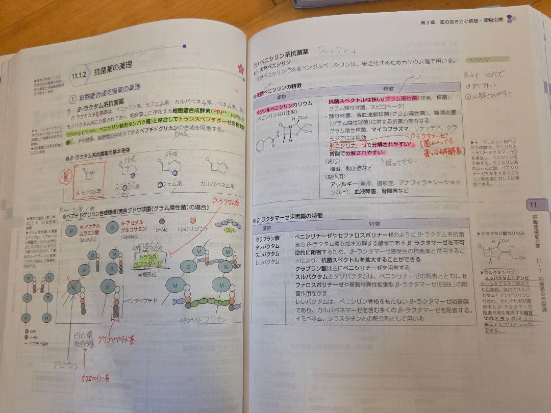 薬ゼミ 第111回薬剤師国家試験対策参考書 全9巻 青本・青問