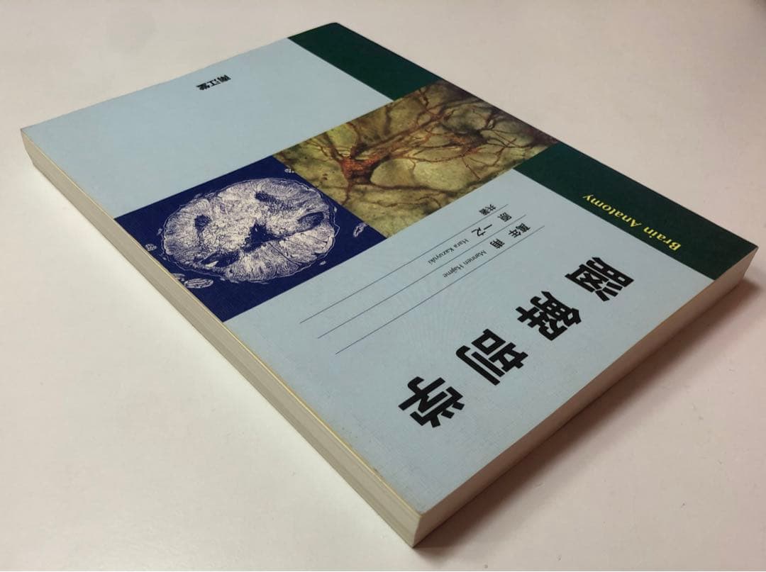 脳解剖学(萬万甫)