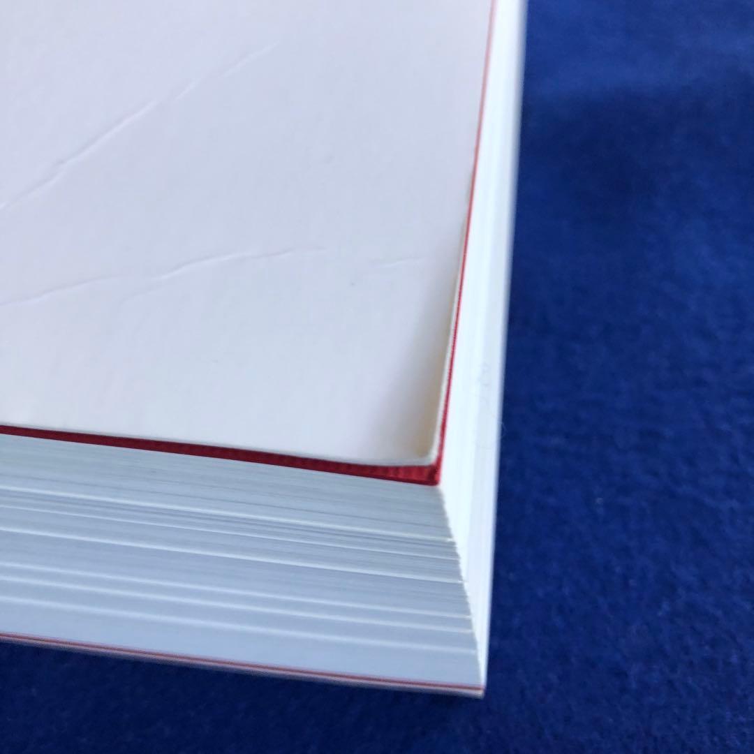 PHOTOS-SOUVENIRS AU CARRÉ DANIEL BUREN洋書