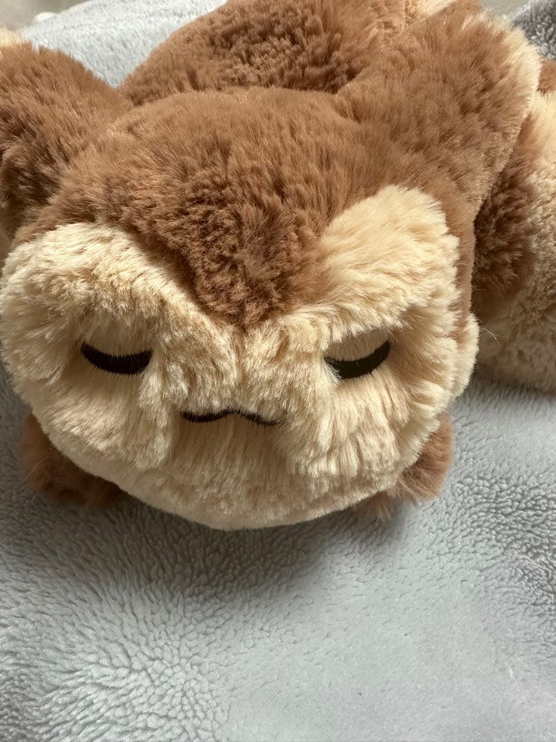 ポケモン オオタチ マフラー 開封済