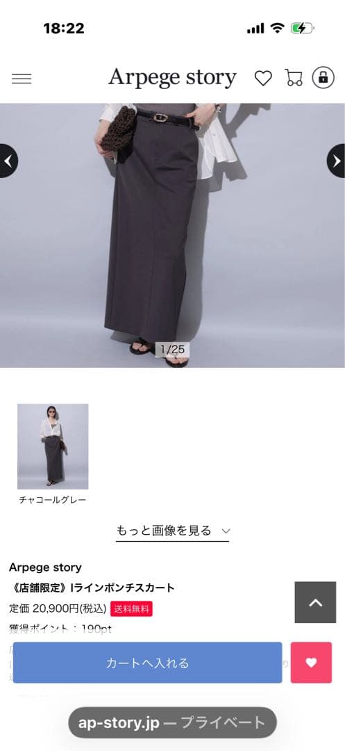 Arpege story ラインポンチスカート チャコールグレー
