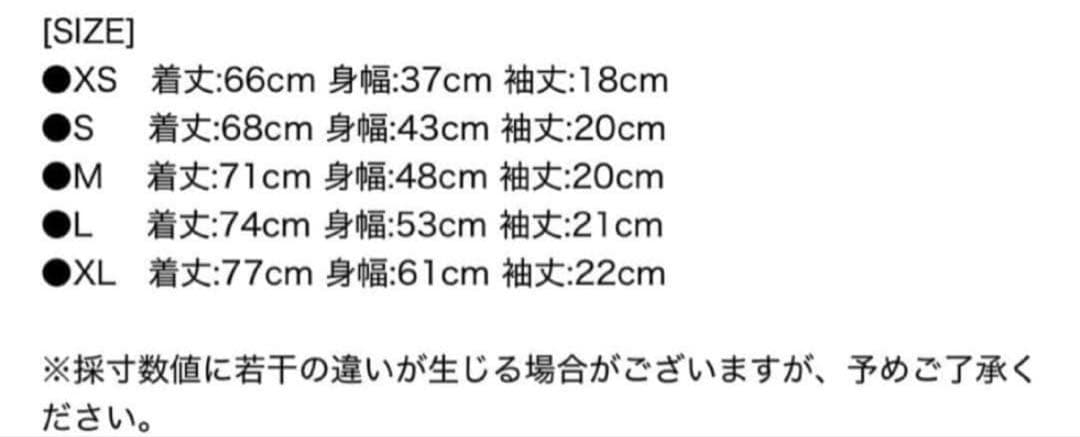 Polo Ralph Lauren スリムフィット Tシャツ XS 2枚セット