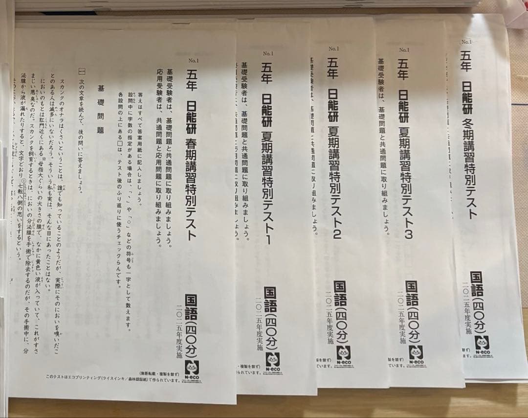 2025年 日能研 5年 春期/夏期/冬期講習＋講座＋テスト 1年分セット