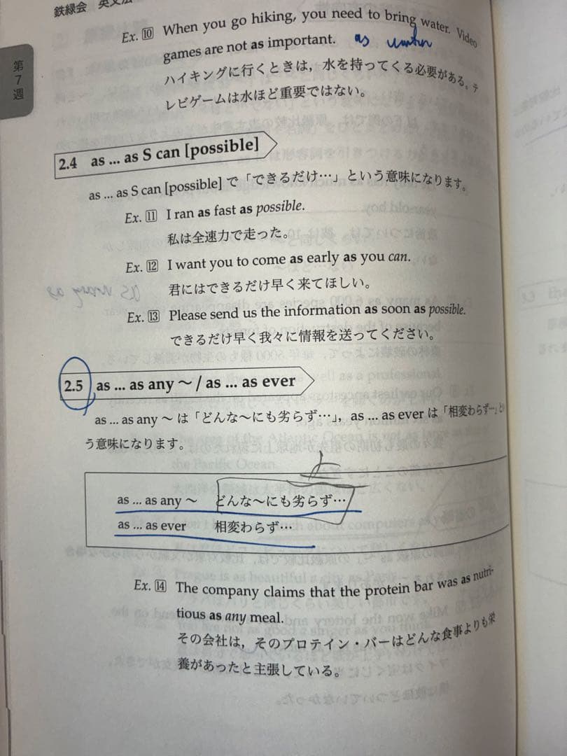 英語発展講座 英文法 高1 鉄緑会　英語