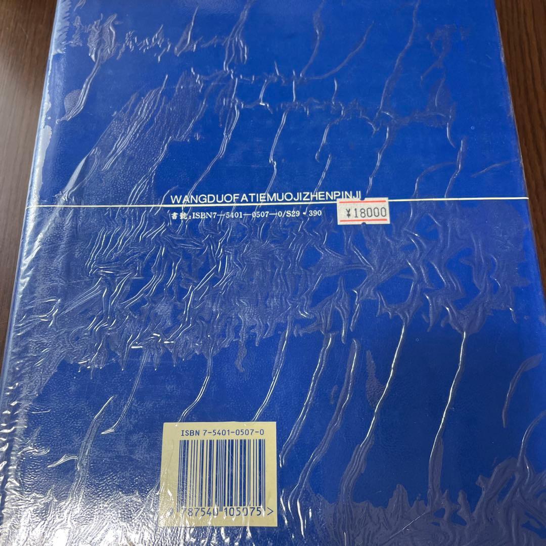 王堆漢墓出土文物集 下巻
