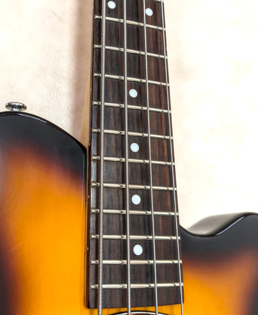 eito7【超美品】PIGNOSE アンプ内蔵ミニベース BS 専用ケース