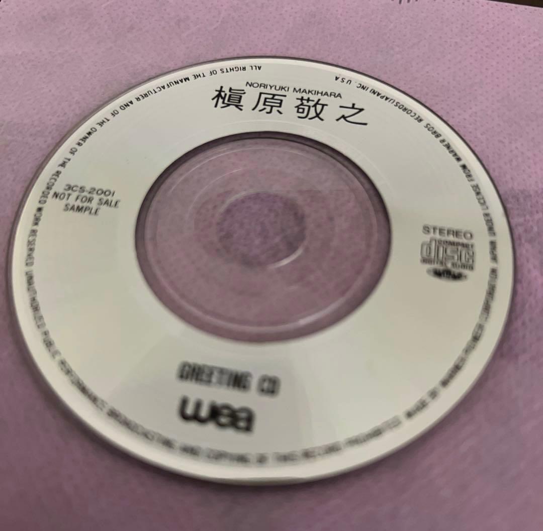 槇原敬之グリーティングCDデビュー前販促品 非売品