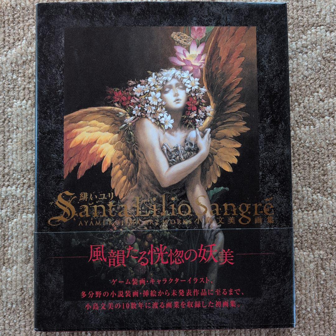 【初版・帯付き】Santa Lilio Sangre 緋いユリ 小島文美画集