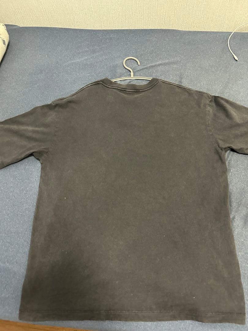 BORN TO LIFT ドーベルマンTシャツ