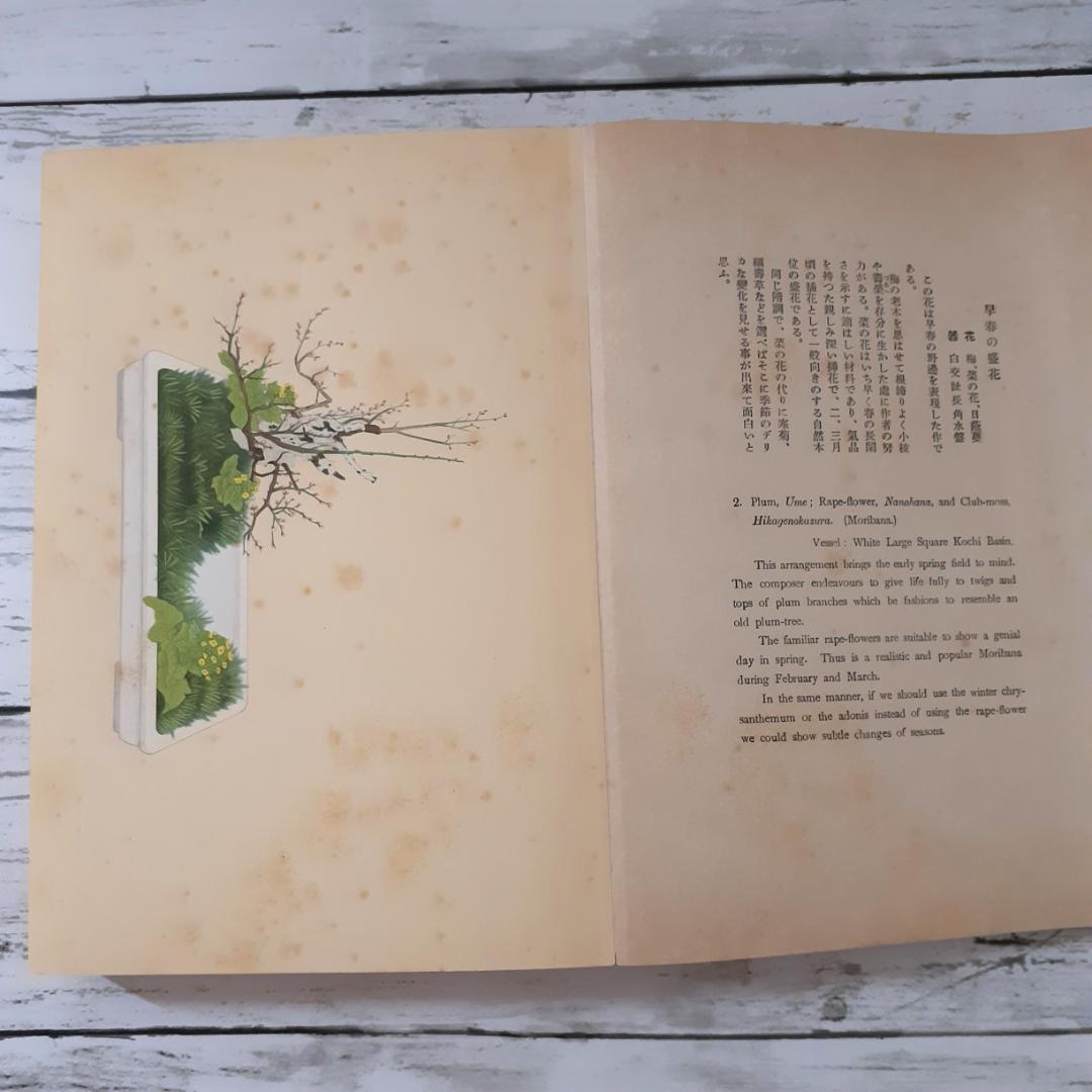 小原流盛花瓶華傑作選集　小原光雲