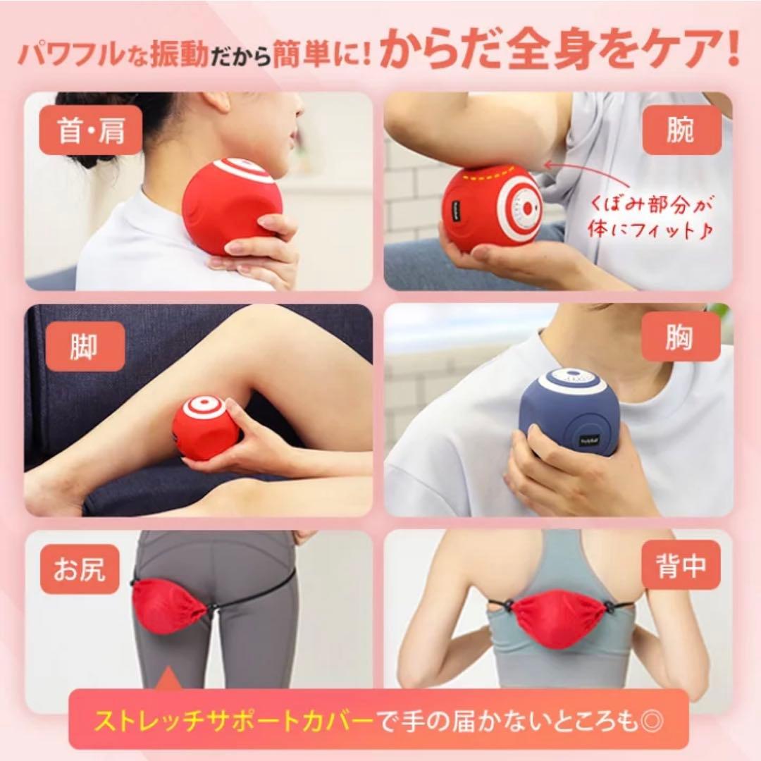 【美品】ルネサンススポーツクラブがつくったスタイリーボール エクササイズ レッド
