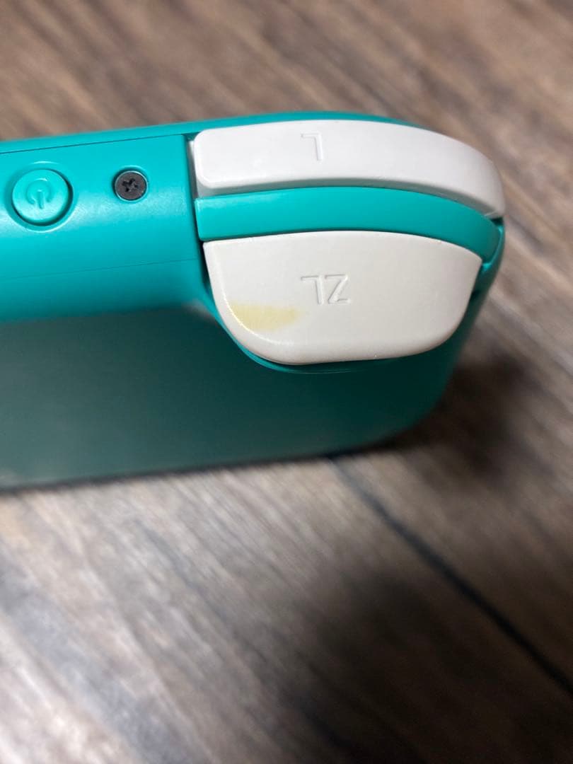 ニンテンドー スイッチ ライト Nintendo Switch Light