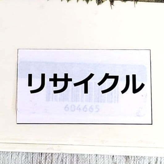 ふたりは屋根裏部屋で 児童書