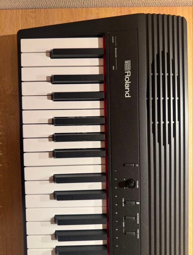 【たかまる】23年製 美品 ローランド ROLAND GO-88P