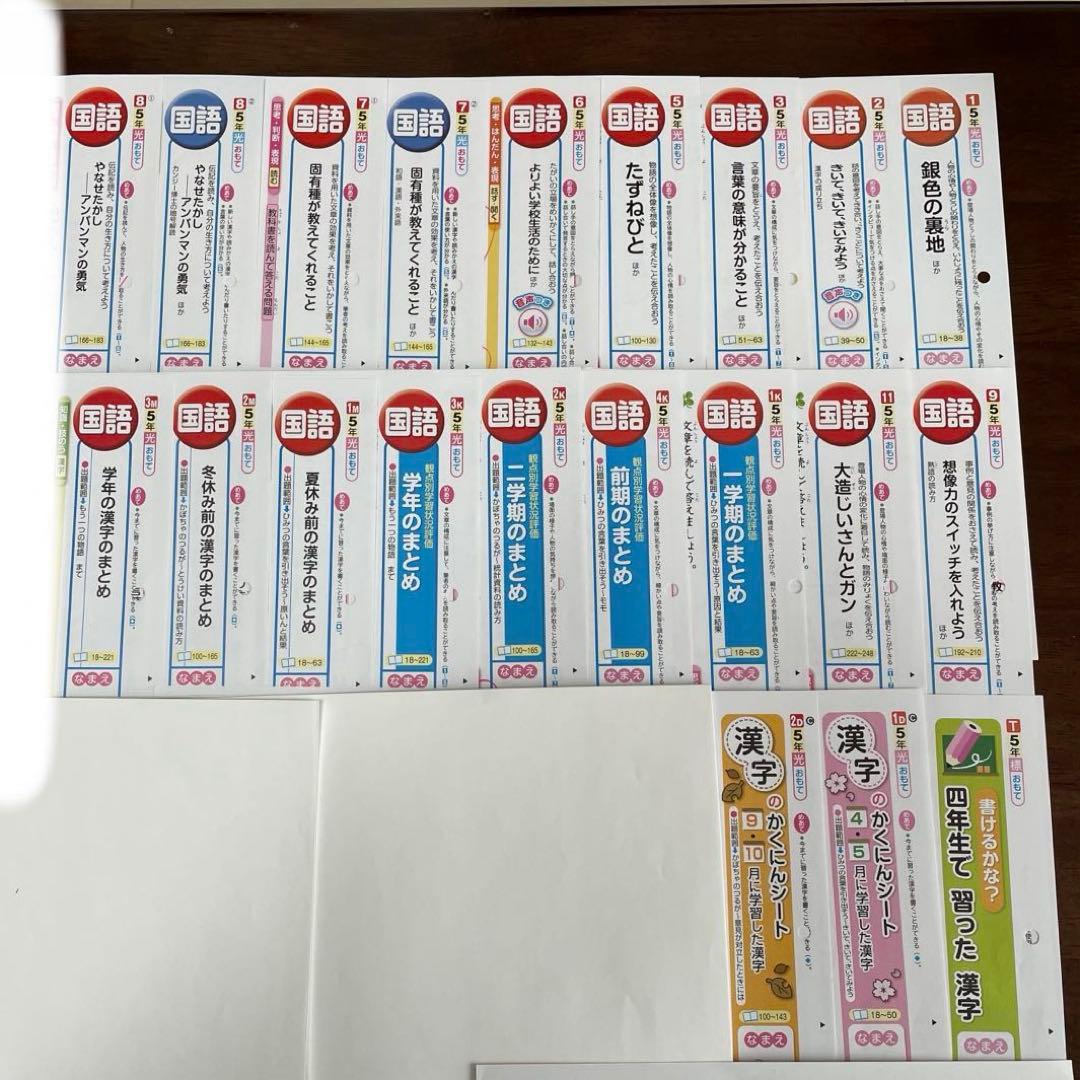 【最新版】小学5年　国語　カラーテスト　令和6年度　１年分