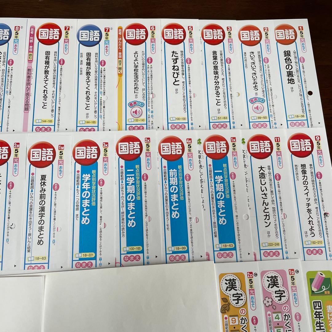 【最新版】小学5年　国語　カラーテスト　令和6年度　１年分