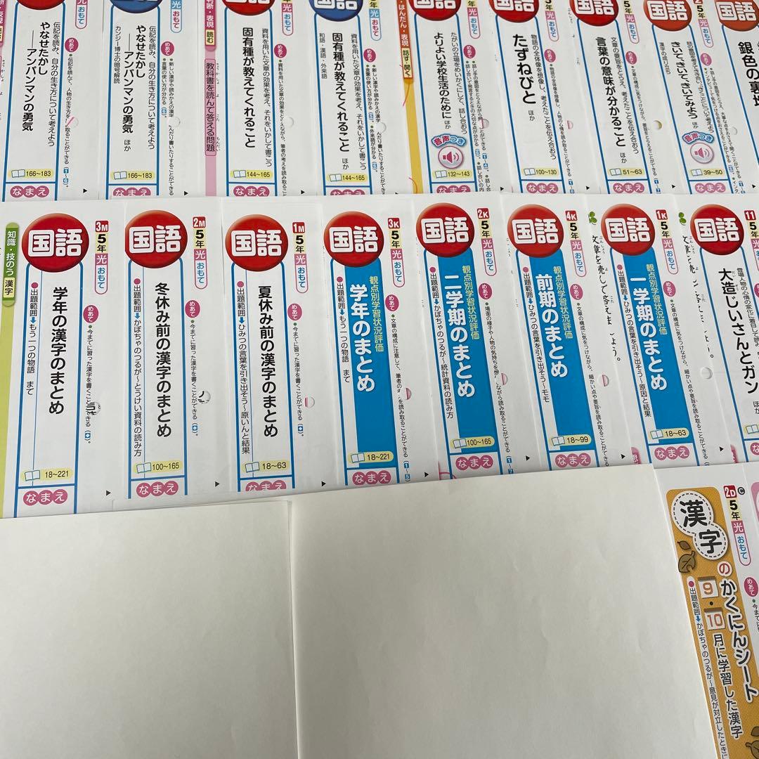 【最新版】小学5年　国語　カラーテスト　令和6年度　１年分