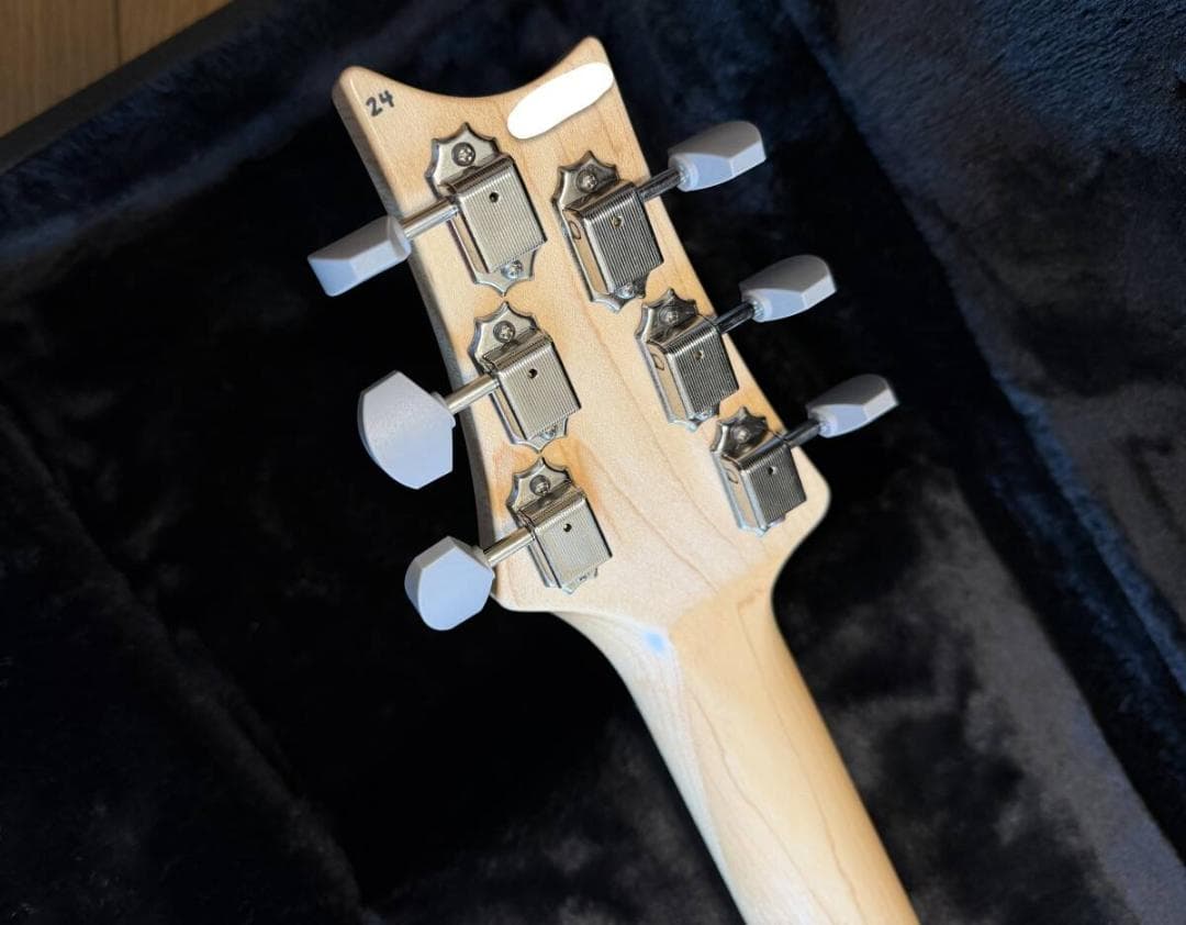 ギター PRS Paul Reed Smith DEAD SPEC SILVER SKY