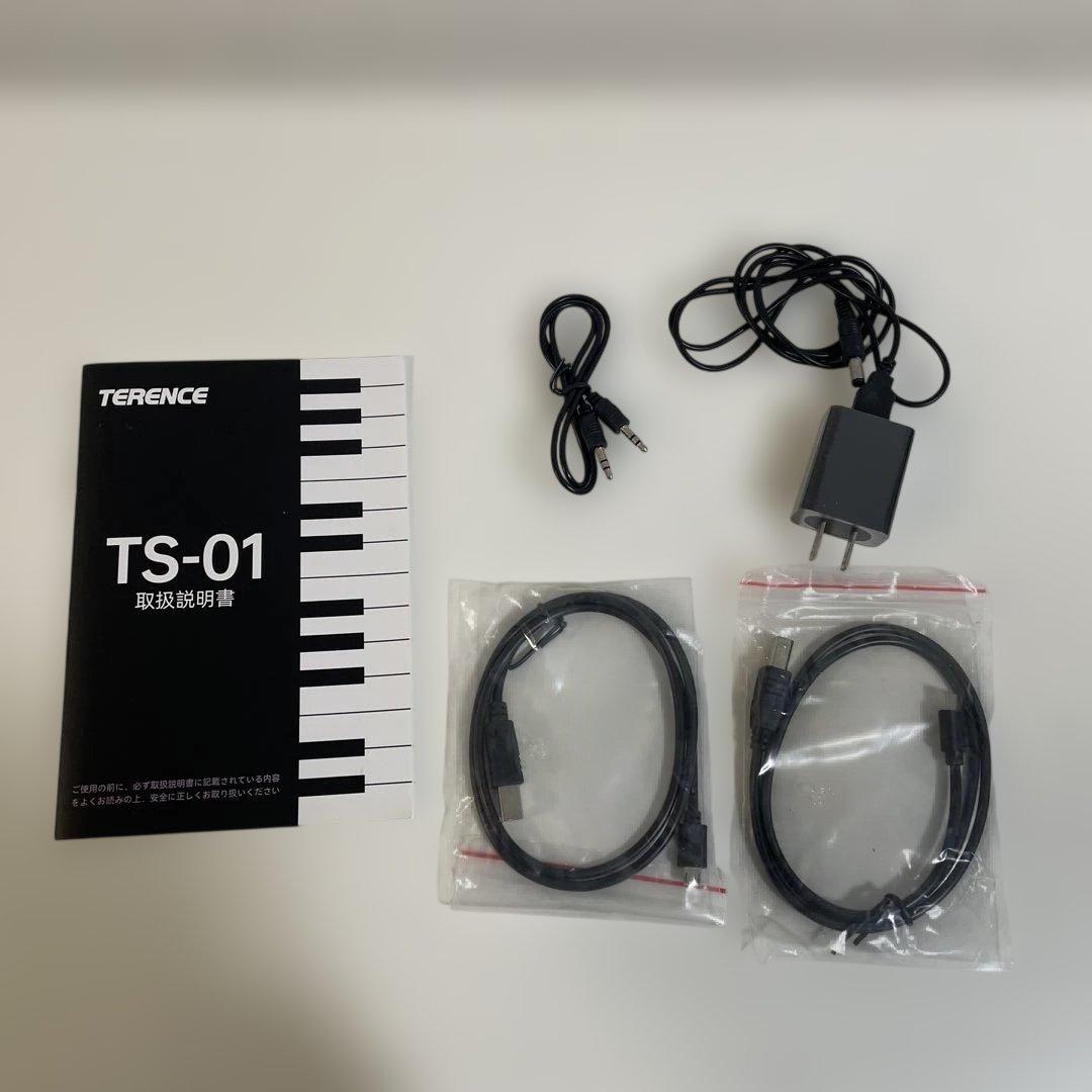 TERENCI TS-01 電子ピアノ