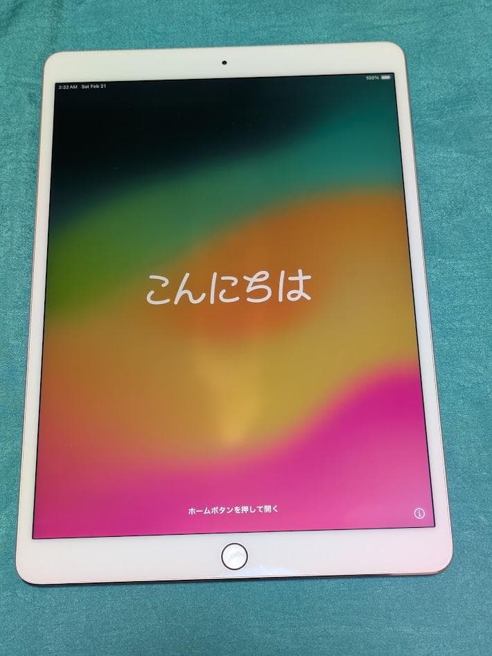 Apple iPad pro 10.5 256GB A1701 元箱 純正電源