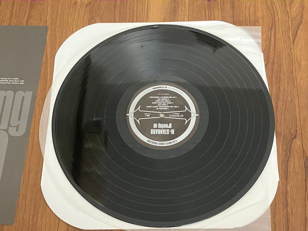 Hi-STANDARD レコード3枚セット　ハイスタンダード　横山健
