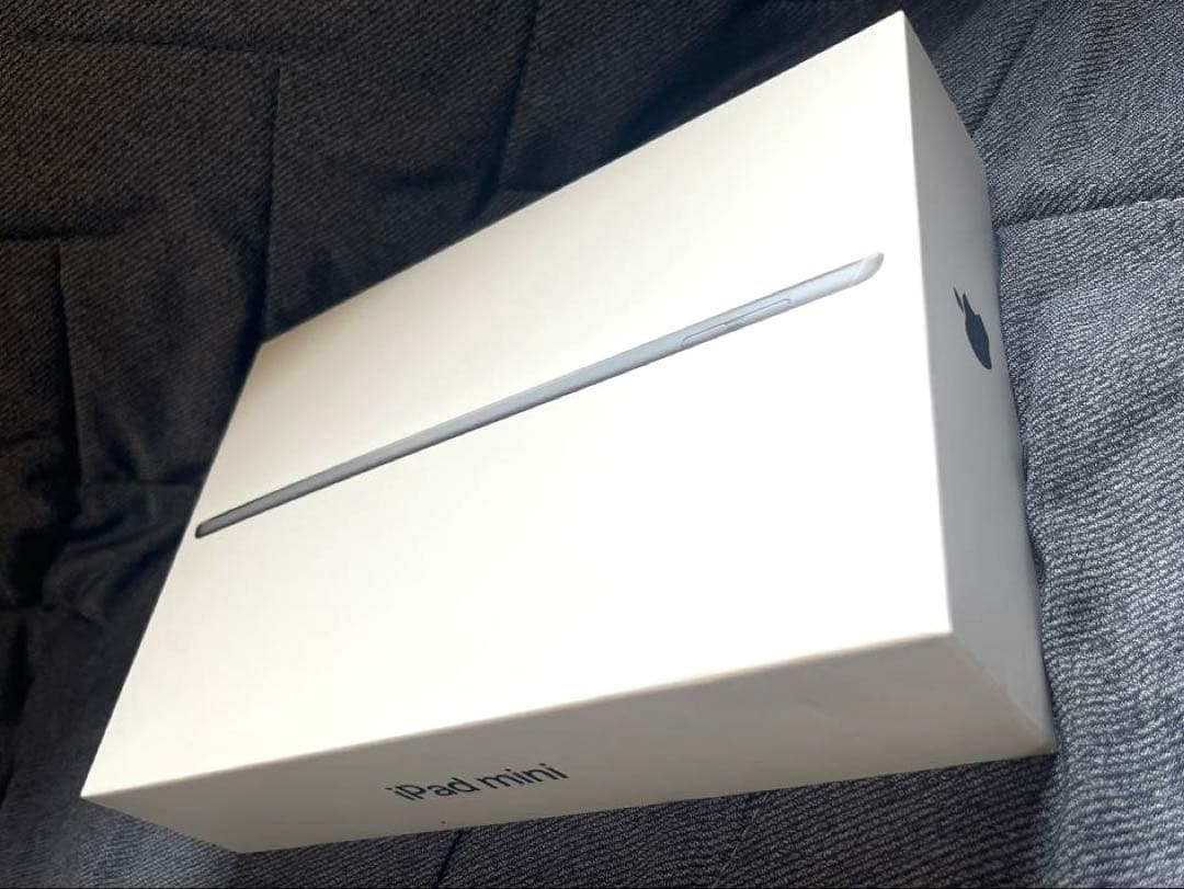 iPad mini (5th) 64GB/WiFi 箱付き A2133
