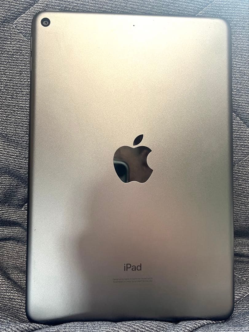 iPad mini (5th) 64GB/WiFi 箱付き A2133