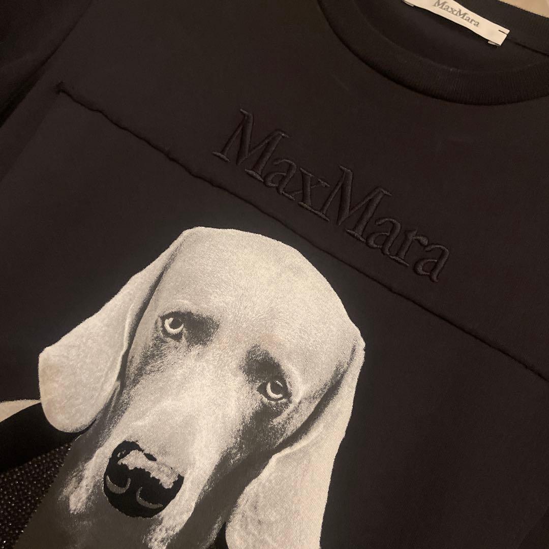 滝沢真紀子さん愛用マックスマーラ Max Mara dog Tシャツ　XS