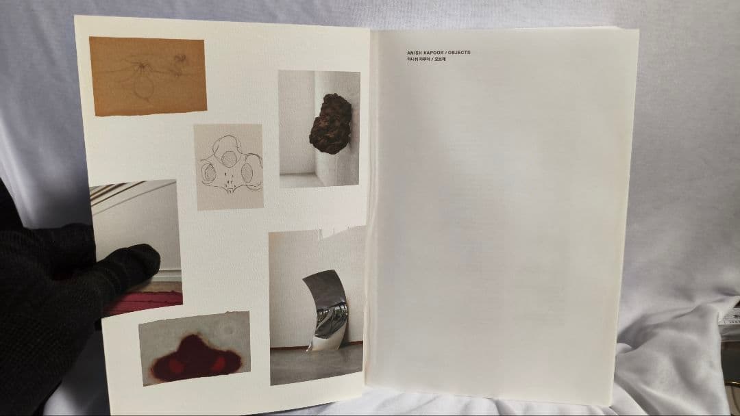 アニッシュ・カプーア Anish Kapoor Objects Leeum 絶版