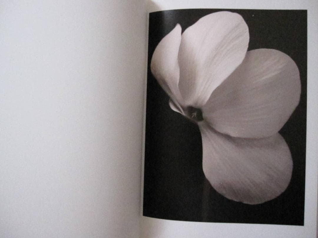 FLOWERS MARK VASSALLO　マーク・ヴァッサーロ