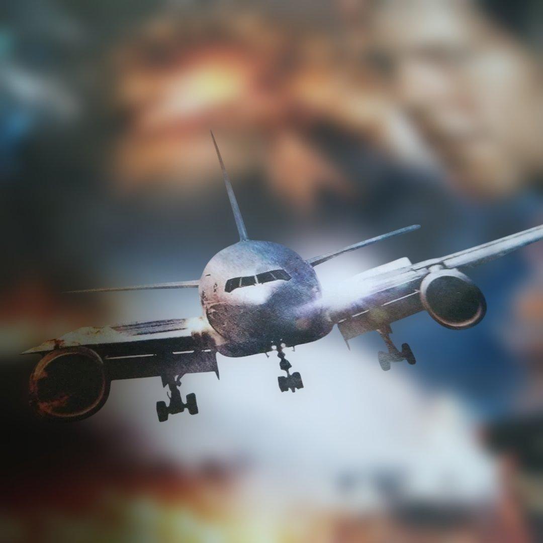 FLIGHT CREW 　DVDジャケットケース付き
