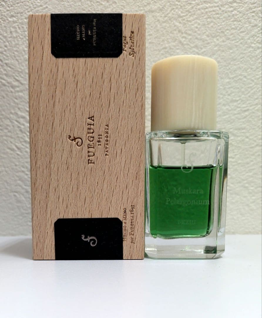 Fugue Muskara Pelargonium ムスカラペラルゴニウム