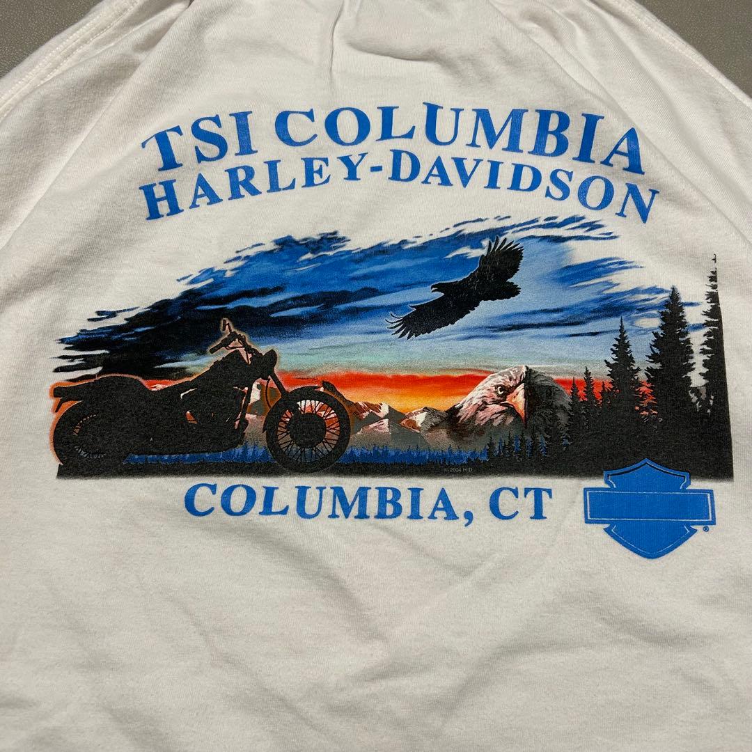 Harley-Davidson00sメキシコ製長袖Tシャツイーグルフレイム両面炎