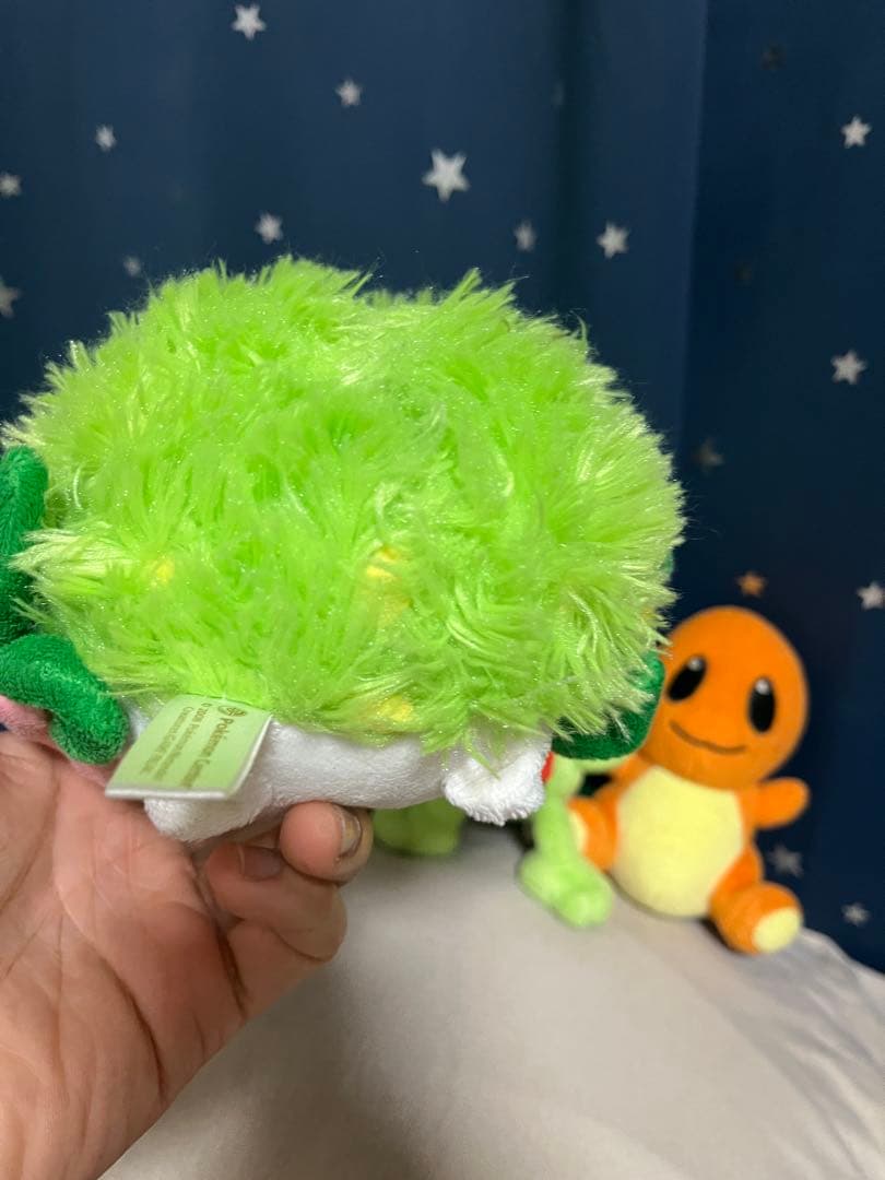 ポケモンぬいぐるみ　ポケドール　4セット