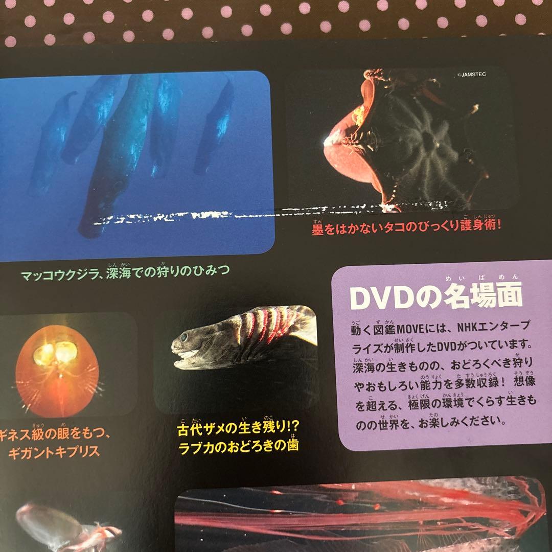 ☆大幅値下げしました☆【DVD付き】講談社の動く図鑑MOVE 10冊セット
