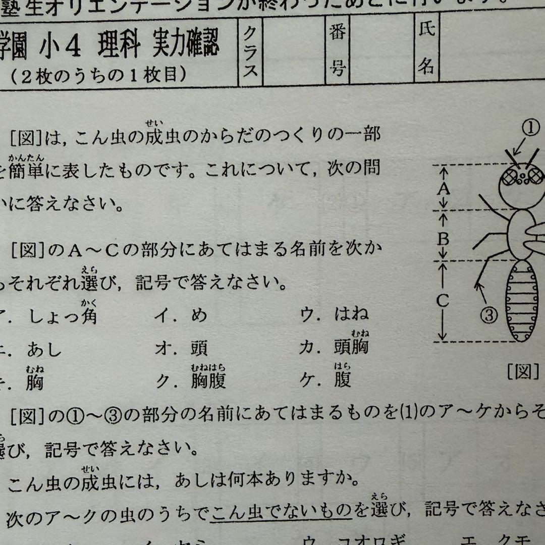 即発送 浜学園 Vクラス 復習テスト 国語 算数 理科 3科目 最新版