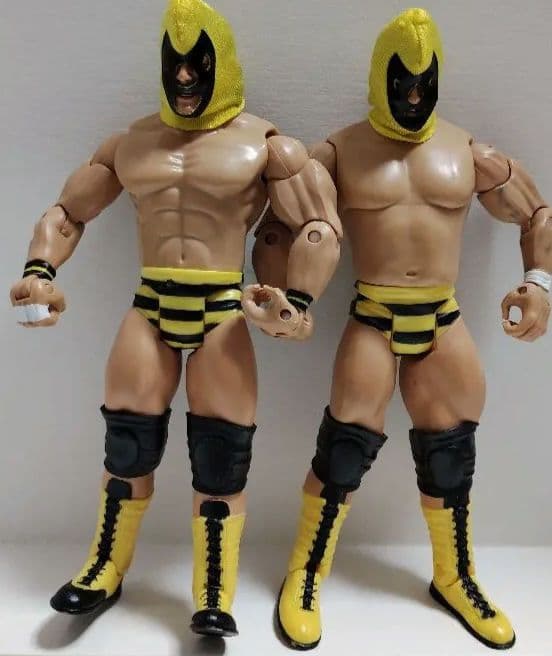 JAKKS社版 WWEプロレスフィギュア ブライアン・ブレア―＆ジム・ブランゼル