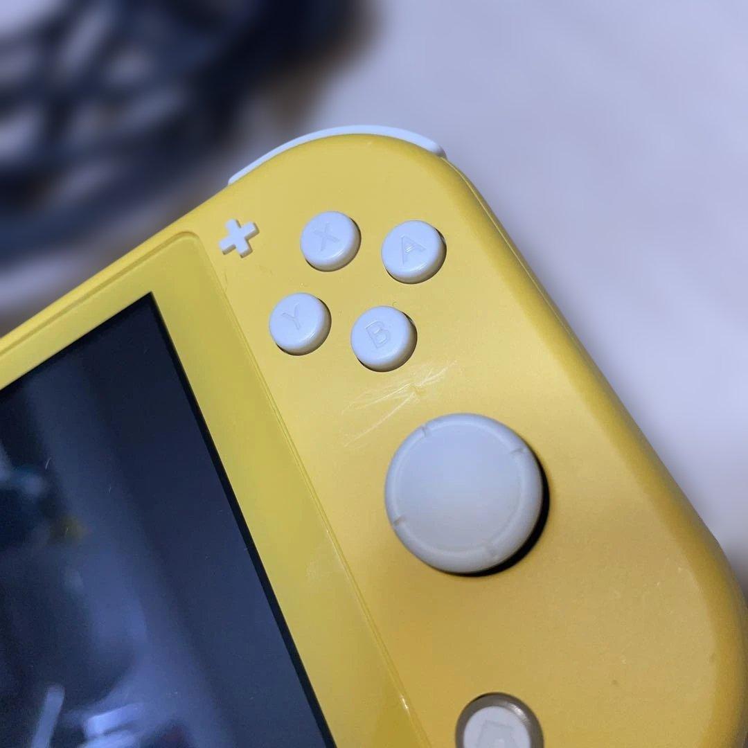 【ぴんちょす】Nintendo Switch Lite 本体