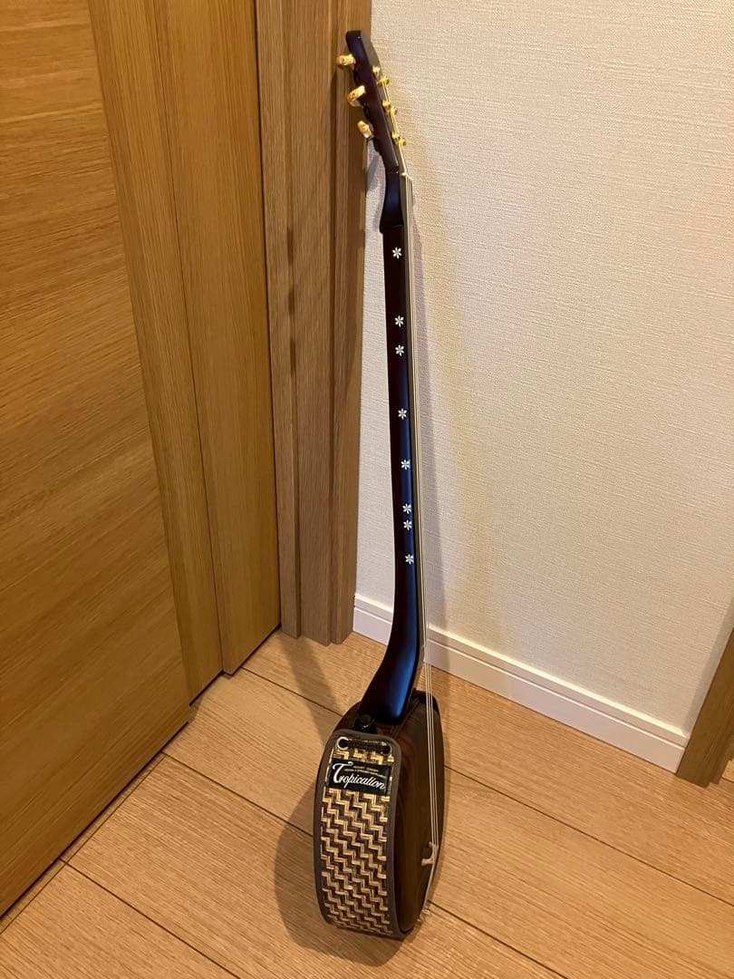 （アーコ）asovivaペグ三線 六弦 アンプ接続可