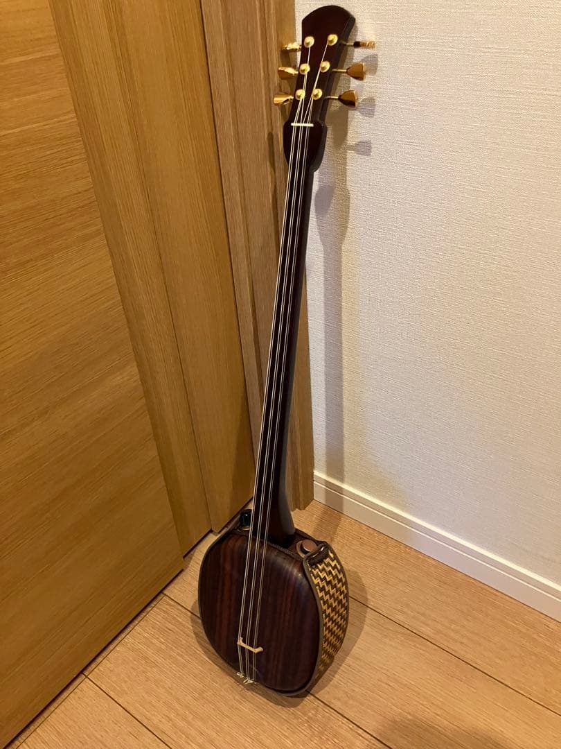 （アーコ）asovivaペグ三線 六弦 アンプ接続可