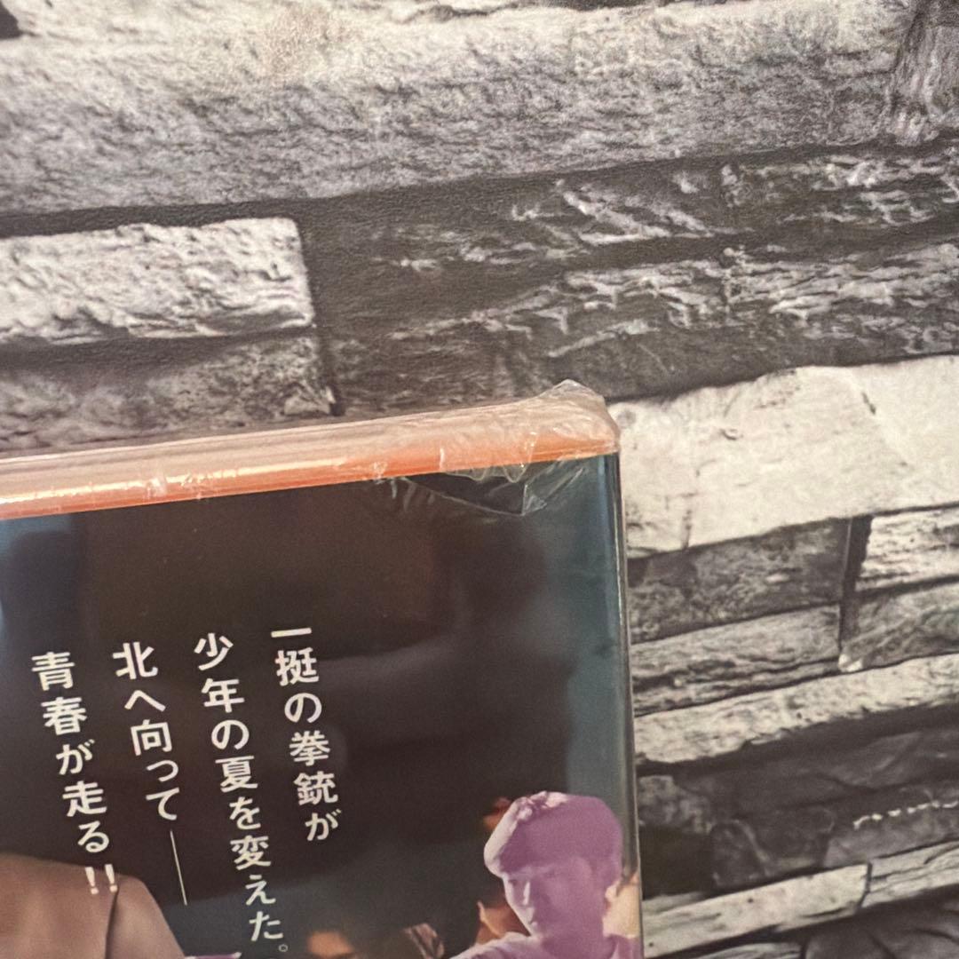 Revolver リボルバーDVD 沢田研二主演