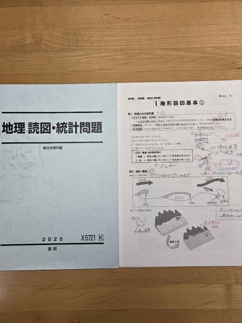[駿台]地理(系統地理・地誌)+授業プリント、地理読図・統計問題、+αプリント