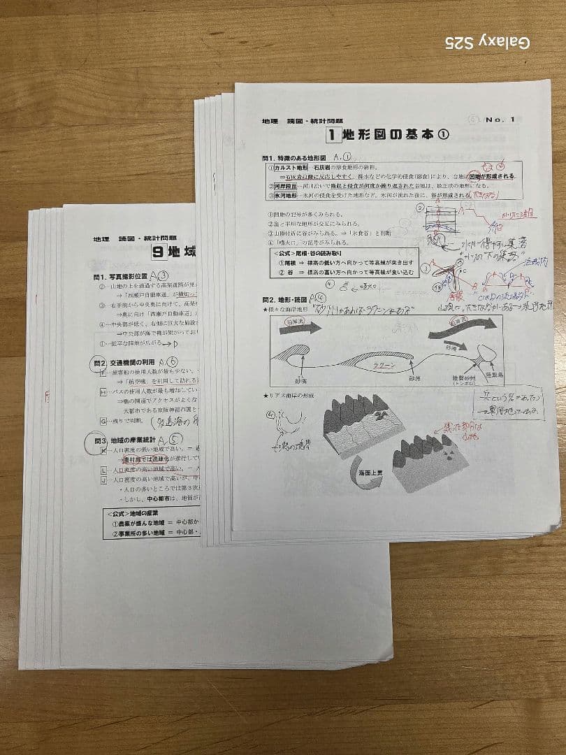 [駿台]地理(系統地理・地誌)+授業プリント、地理読図・統計問題、+αプリント