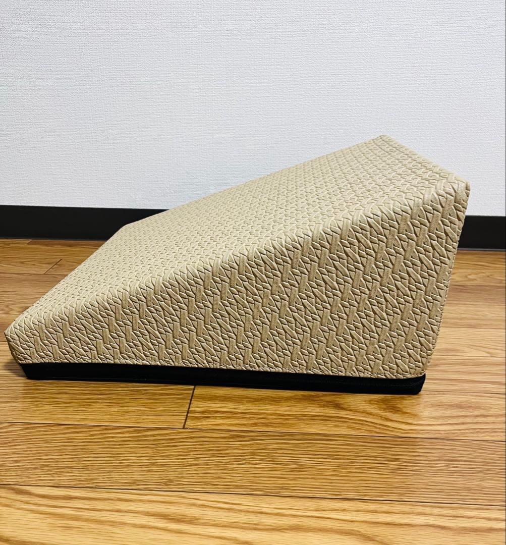 サンテプラス フレックスクッション