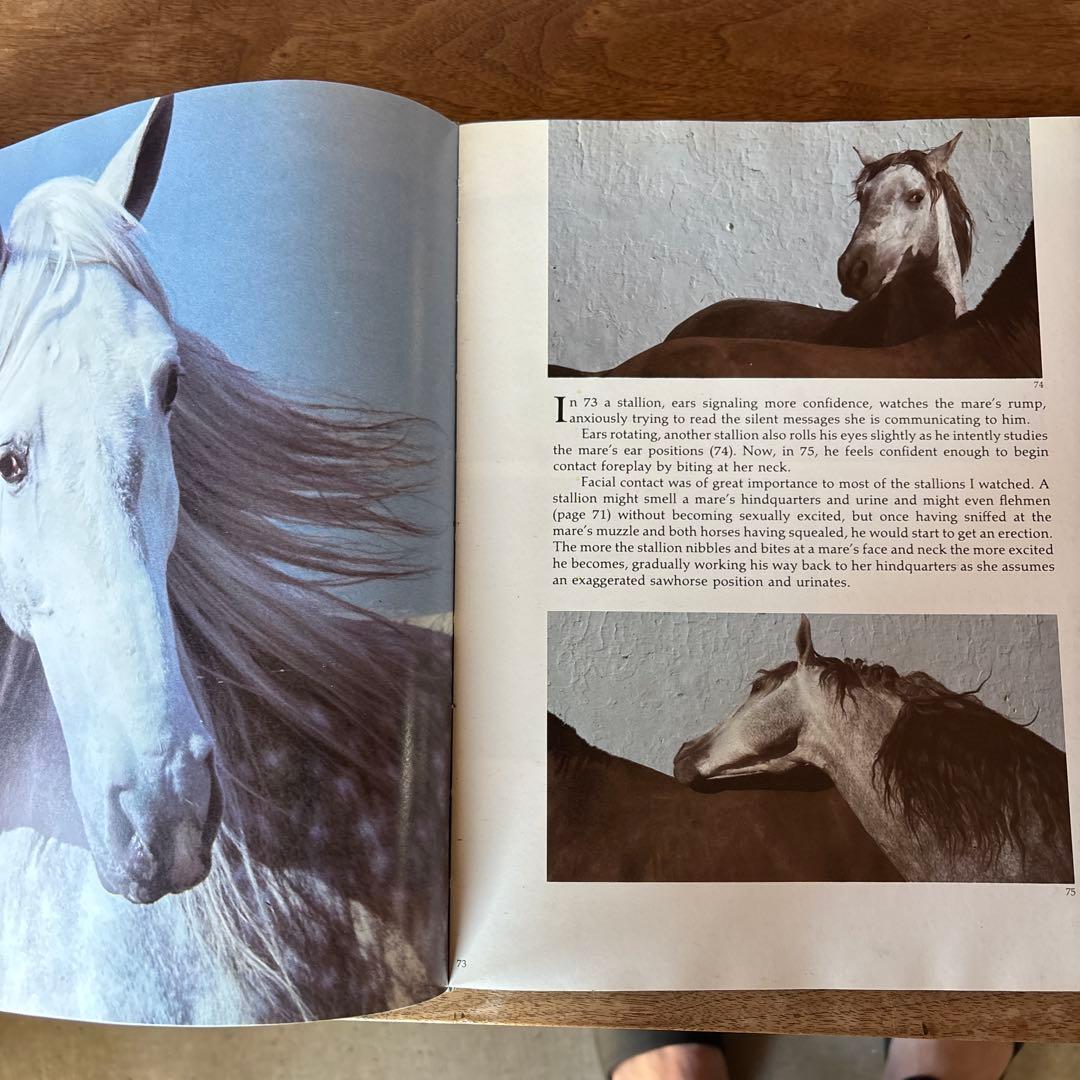 洋書 Such Is the Real Nature of Horses